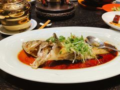 红烧老虎斑-誉八仙酒楼(静安大悦城店)