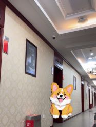 -南京医科大学友谊整形外科医院