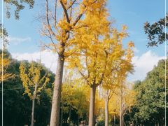 -苏州河梦清园环保主题公园