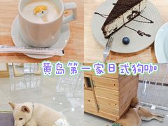 -柴犬小屋·柴餐厅·狗咖食堂(金鼎广场店)