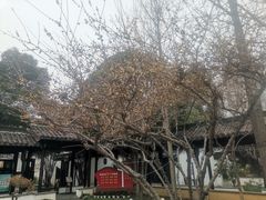 -南京市民俗博物馆(甘熙故居)