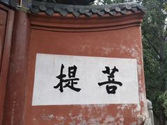 -洛阳白马寺