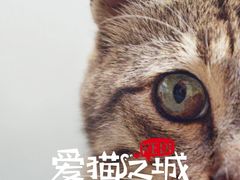 -沈阳瑞士酒店·普拉那啤酒坊