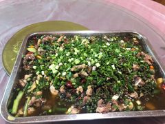 -铁山坪森林公园