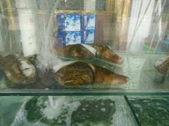 -四海鲜渔家菜(黄金海岸店)