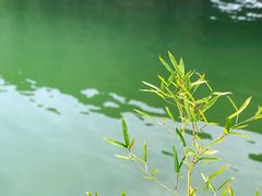 -南京市无想山景区