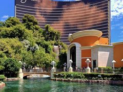 -拉斯维加斯永利酒店