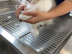 -佳雯宠物医院(四明中路分院)