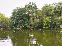 -广州锦绣香江度假别墅