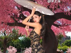 -厦门方特东方神画