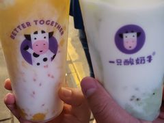 -一只酸奶牛(八一路店)