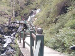 -凤凰山国家森林公园