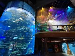 -泉城欧乐堡海洋极地世界