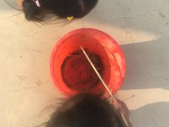 -晶宝温泉农庄