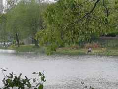 -新江湾城公园