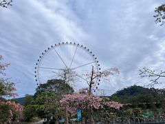 -望天湖