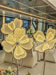 -Doris一站式游轮婚礼船东直营店(外滩店)