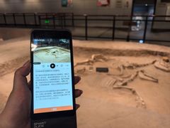 -洛阳周王城天子驾六博物馆