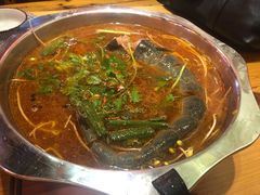 -老凯俚酸汤鱼(鸿通城店)