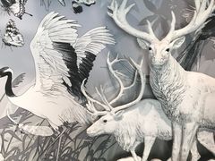 -中国湿地博物馆