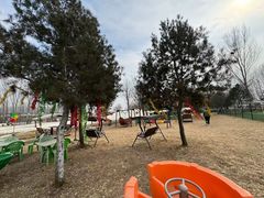 -宠乐会宠物乐园