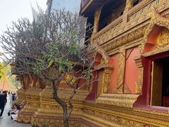 -西双版纳总佛寺