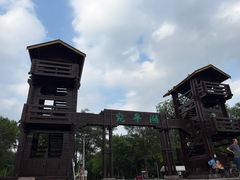 -绿堤公园