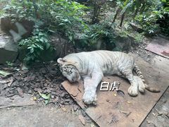 -杭州动物园
