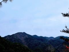 -四明山国家森林公园