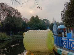 -南湖梦幻岛