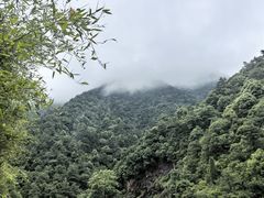 -大奇山国家森林公园
