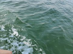 -霞山观海长廊