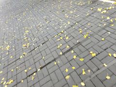 -金时代顺风大酒店(临港百联店)