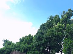 -荷塘月色湿地公园·向阳花洲