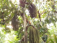 -龙口南山旅游景区