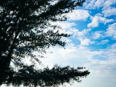 -巽寮印象美食部落餐厅·海鲜·地方特色菜(惠州体验店)