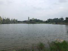 -白鹭湾湿地公园