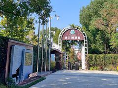 -金山农民画村-枫泾波兰倒置屋