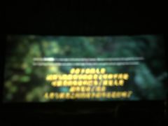 -汉阳天河电影城(王家湾店)