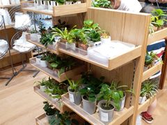 -MUJI无印良品(环球港店)