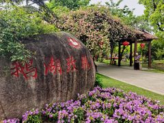 -鹅湖玫瑰文化园