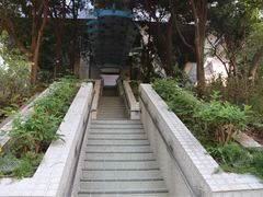 -香港大学