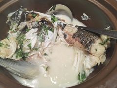 泉水珊瑚鱼头汤-小厨娘淮扬菜(清江苏宁广场店)