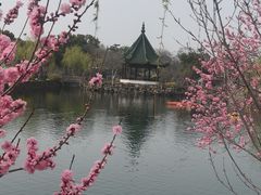 -无锡蠡湖国家湿地公园-蠡园