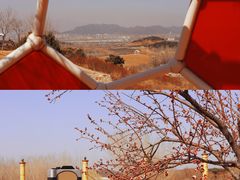 -密云玫瑰情园