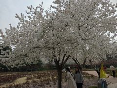 -郑州植物园