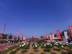 -曹州牡丹园