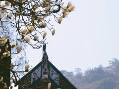 -杭州上天竺法喜讲寺