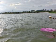 -九龙湖公园