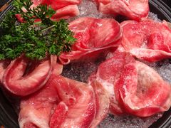 -新草堂锅物料理(泉城路店)